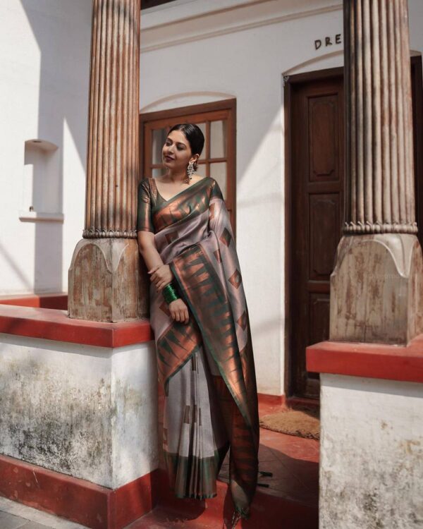 Grey Saree