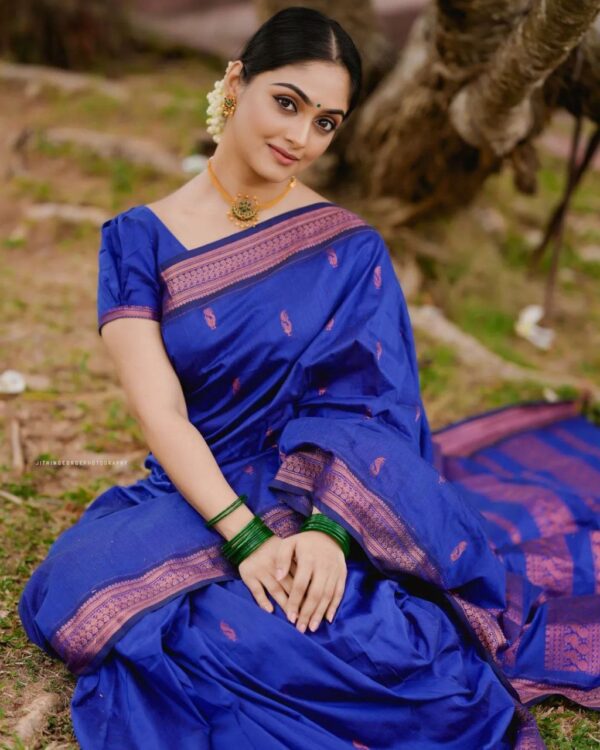 Blue Saree