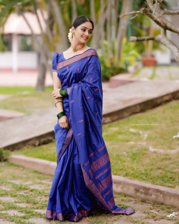 Blue Saree