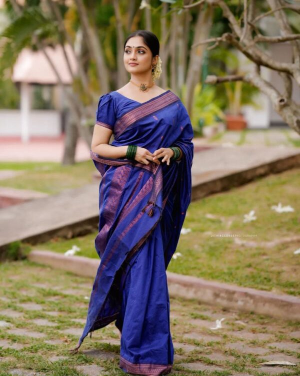 Blue Saree