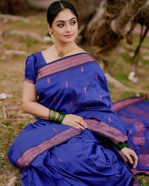 Blue Saree