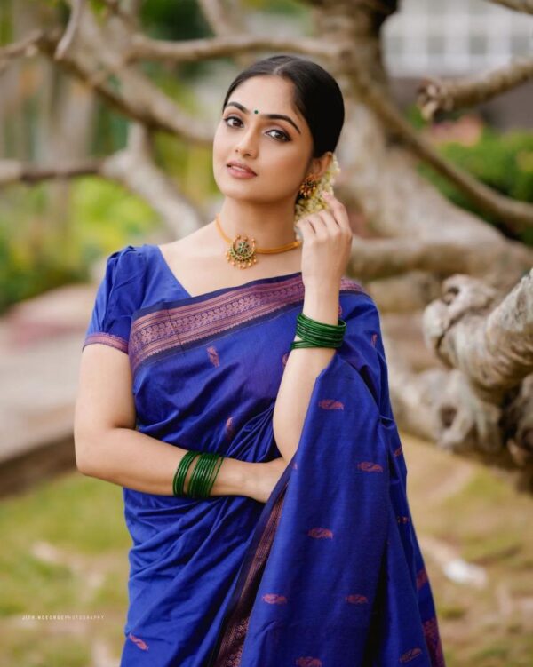 Blue Saree