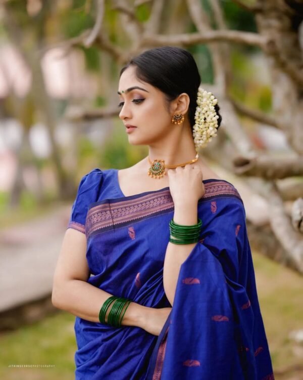 Blue Saree