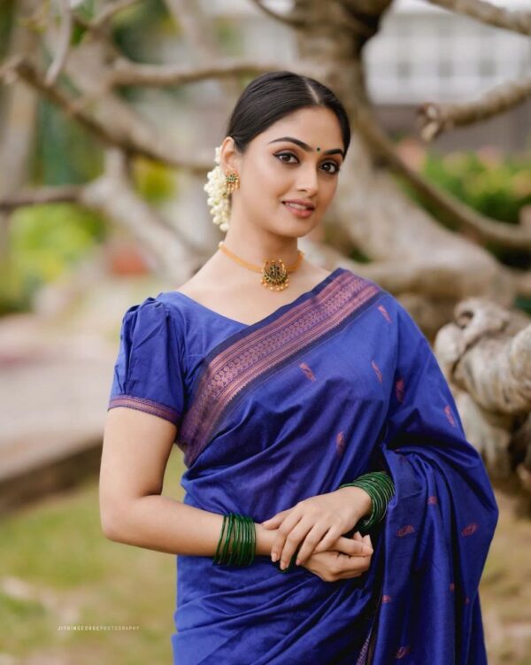 Blue Saree