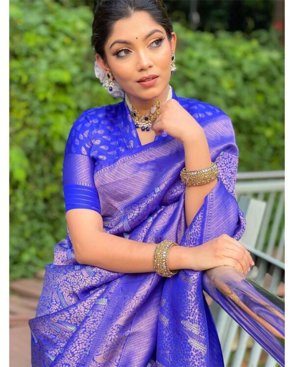 Blue Saree