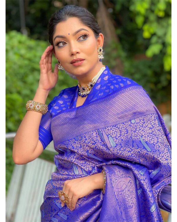 Blue Saree