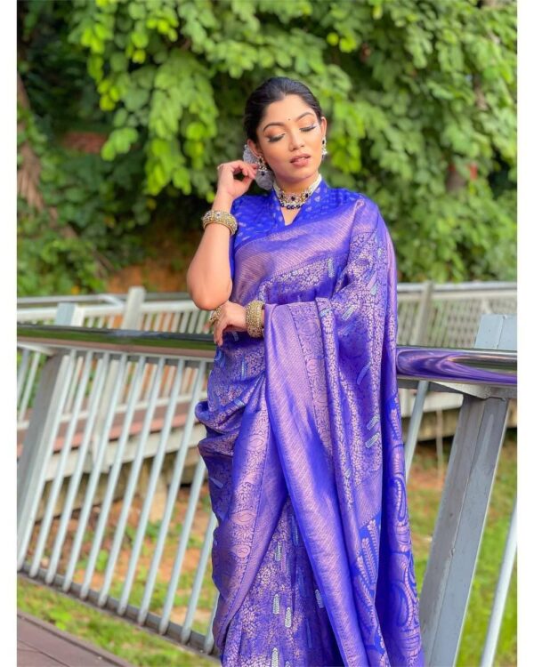 Blue Saree