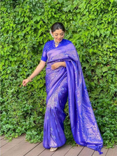 Traditional Banarasi Blue Saree