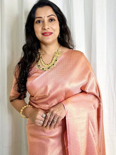 Party wear Bollywood Pink Saree