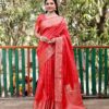 Silk Badhani Patola Design Red Saree