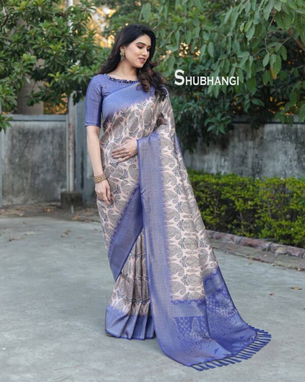 Blue Saree