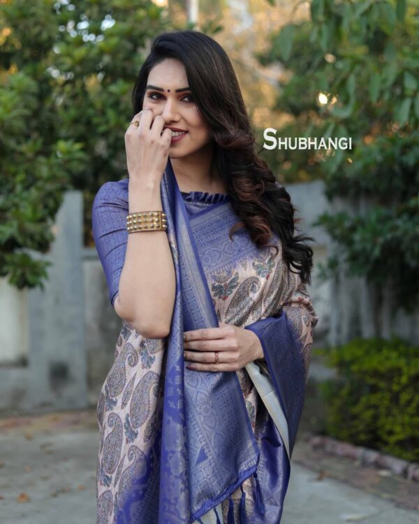 Blue Saree