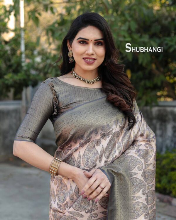Silk Pink Saree With Designer Grey Border