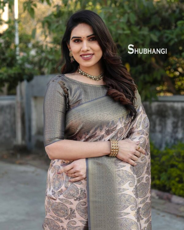 Silk Pink Saree With Designer Grey Border