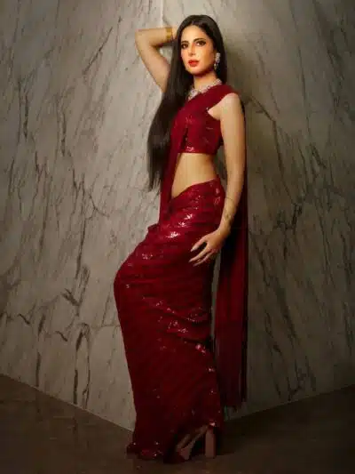 maroon saree
