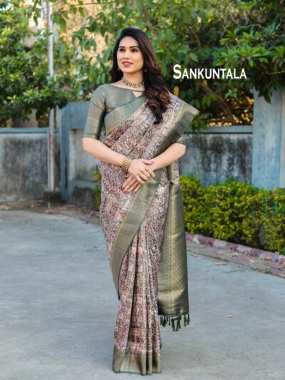 Multi Color Saree in Traditional Patola Design