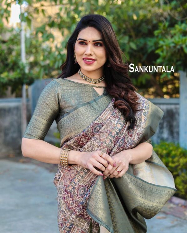 Multi Color Saree