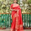 Bandhani Red Saree Designer Border