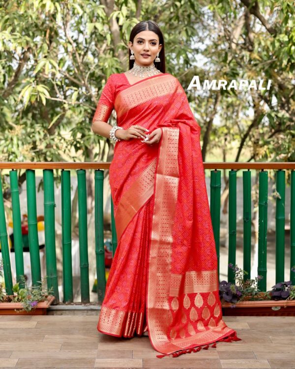 Bandhani Red Saree Designer Border