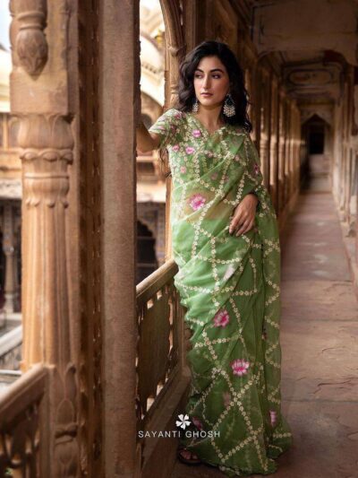 Latest Design Party Organza Saree