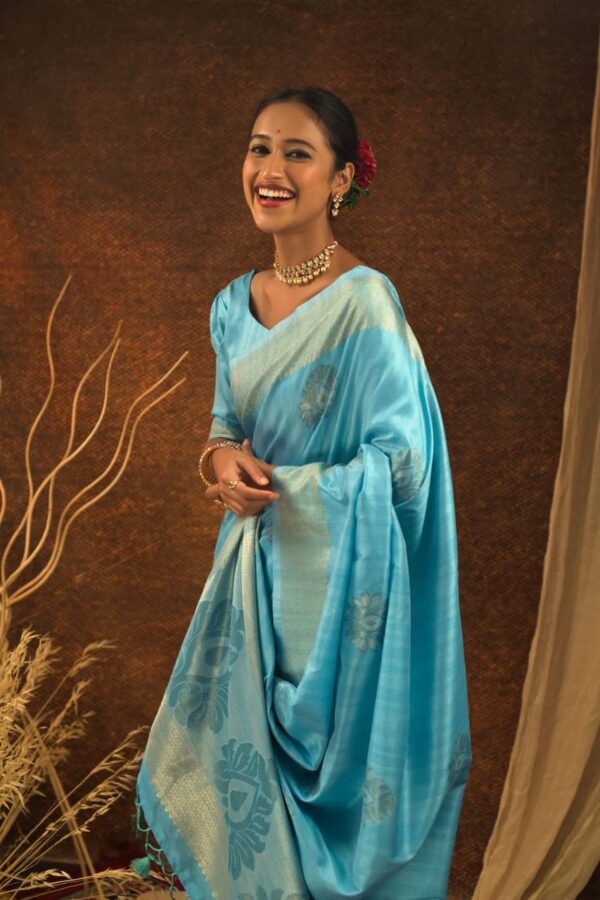 Fancy Border Silk Sky Blue Saree
