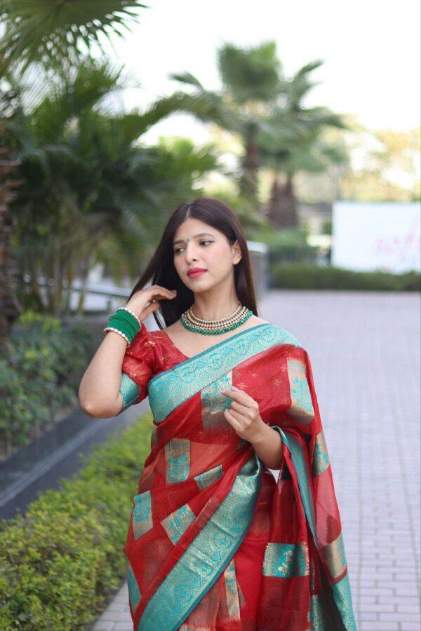 Red Saree