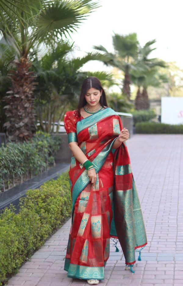 Red Saree