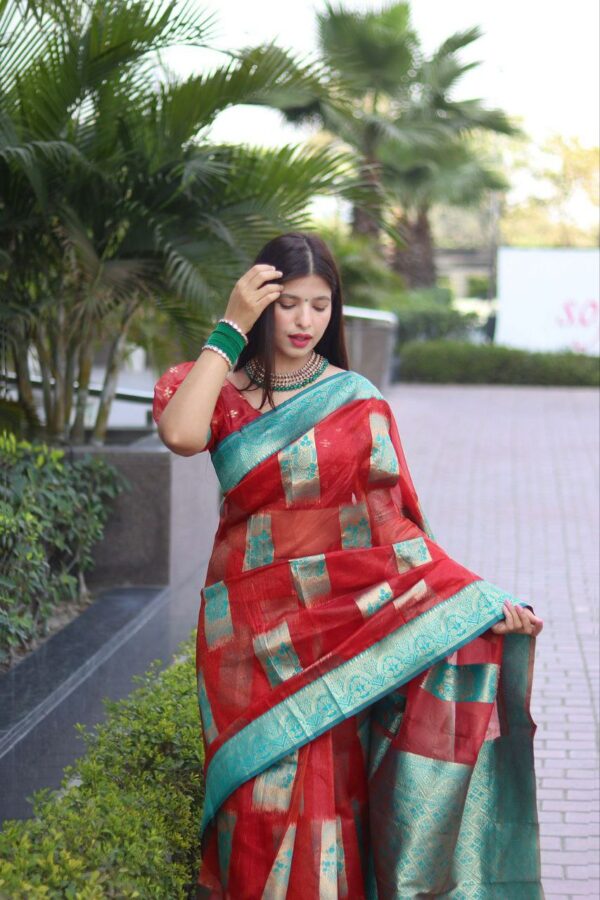 Red Saree