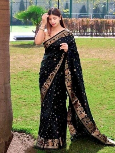 Banarasi Silk Black Saree with Designer Border