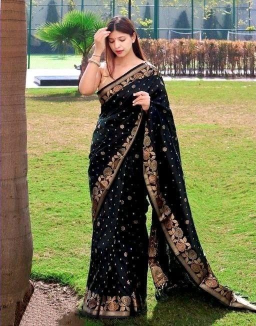 Banarasi Silk Black Saree with Designer Border