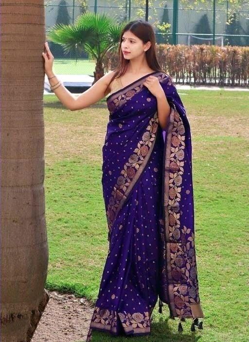 Banarasi Floral Border Silk Blue Saree