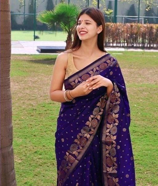 Banarasi Floral Border Silk Blue Saree