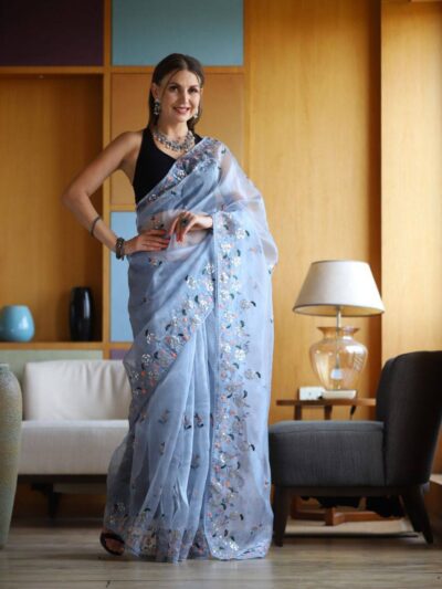 Sequence Work Stylish Sky Blue Saree