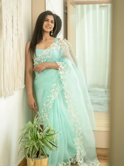 Organza Sky Blue Saree with work Border