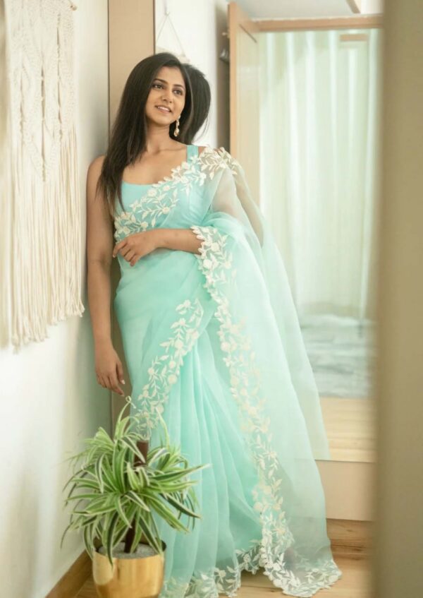 Organza Sky Blue Saree with work Border