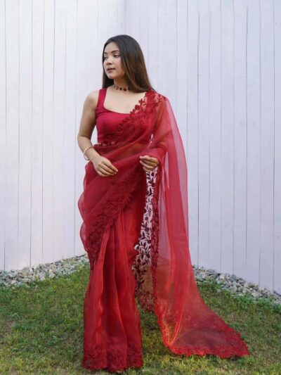 Fancy Work Border Organza Red Saree