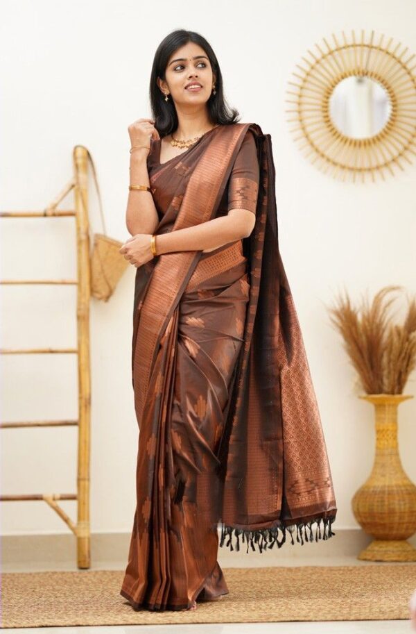 Brown Saree Blouse