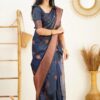 Blue Stylish Saree