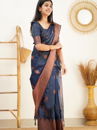 Blue Stylish Saree