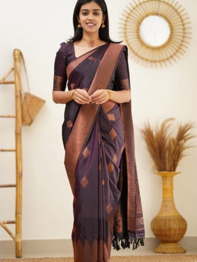 Wine Party Wear Saree