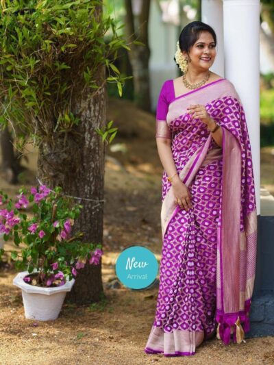 Wine Saree