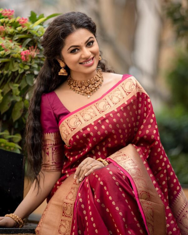 Royal Maroon Sari
