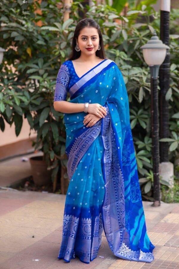 Silk Blue Saree with Designer Border