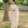 Net Sequence Work Stylish Peach Saree