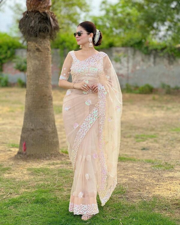 Net Sequence Work Stylish Peach Saree