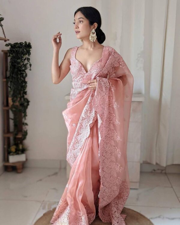 Fancy Work Organza Peach Saree