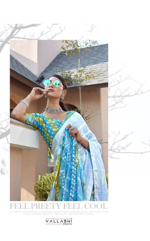 Sky Blue Saree