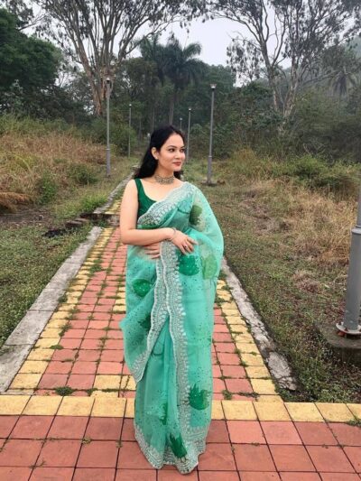 Stylish Organza Green Saree work Border