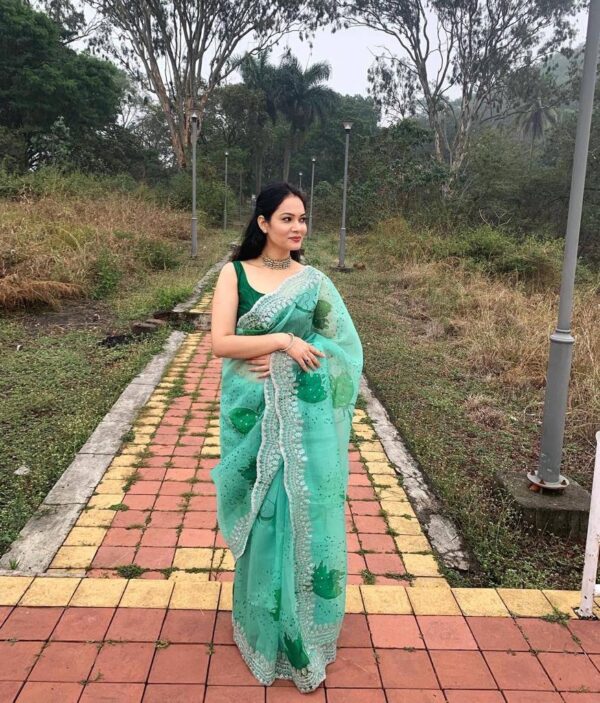 Stylish Organza Green Saree work Border