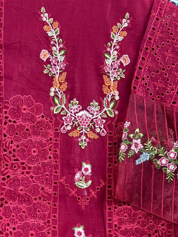 Red Indian Pakistani Suit Dress